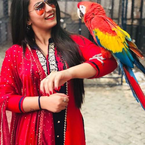Bhojpuri Actress Nidhi Jha Latest Pics
