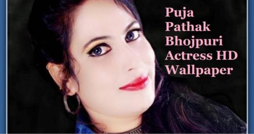 Puja Pathak HD Wallpapers, Photos, Images, Photo Gallery (1)